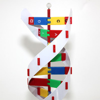 Modèle de double hélice d'ADN Qinghua, modèle biologique de gène, 60 cm, pour l'enseignement des protéines en classe, démonstration pédagogique, grande taille 60 cm