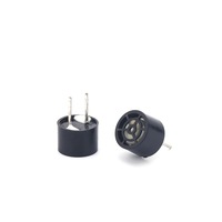 Transducteur piézoélectrique de type divisé en plastique de 40 kHz et 107 mm, sonde de mesure de la concentration en oxygène, capteur ultrasonique