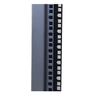 Armoire serveur sur pied 19'' 42U pour centre de données, 2 poteaux, acier SPCC 1,2 mm, revêtement poudré, certifiée CE