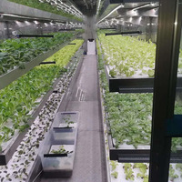 Panneau de mousse de radeau flottant EPE personnalisé en usine plaque de mousse de croissance XPS conseil pour système de culture de légumes hydroponiques