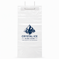 Sac à glaçons en LDPE transparent personnalisé avec votre logo – Vente en gros à chaud