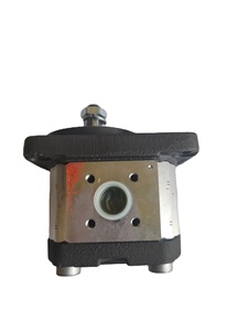 Accesorio de equipo 0510425009 AZPF-11-008RCB bomba de engranajes - Product Image 4