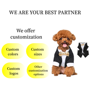 Trajes de Esmoquin de Terciopelo de Lujo Personalizados para Perros y Gatos Machos y Hembras con Accesorios Decorativos - Product Image 1