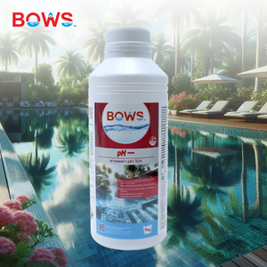 Hot bán không ăn mòn đặc biệt PH Reducer bột không Hữu Cơ axit hóa chất phụ gia cho hồ bơi hóa chất phụ trợ đại lý - Product Image 2