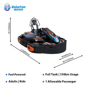 RaiseFun Erwachsenen-Benzin-Gokart 200CC für Innen- und Außenbereich, Kommerzielles Benzin-Karting, Hochleistungs-Rennwagen - Product Image 2