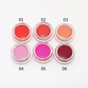 Private Label Alta Qualidade Vegan Pigmento Blush Líquido Natural Blush e Paleta para o Rosto Acabamento Matte Batom Impermeável