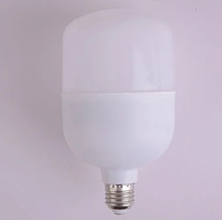 Ampoules LED E27 blanc chaud 120W