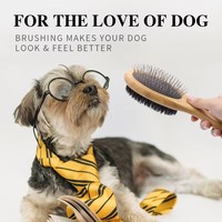 Kit de toilettage pour chiens et chats avec brosses en bois sûres pour l'élimination des poils, fabriqué en Chine pour chiens, chats et petits animaux