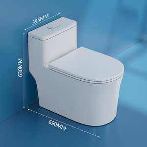 Artículos sanitarios Baño Montado en la pared WC Inodoro Cerámica sin montura inteligente con drenaje P-Trap Juego de dos piezas - Product Image 5