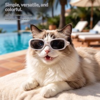 Lunettes de soleil PP à monture carrée irrégulière pour chats et chiens – Style original, accessoire photo – Best-seller transfrontalier