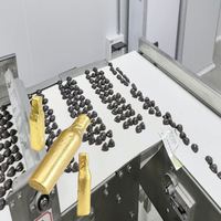 Machine d'emballage de chocolat en feuille métallisée en forme de demi-bouteille, à fonctionnement rapide, avec distribution automatique de colle, sur mesure