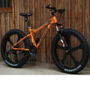 Pemasok Peringkat Teratas/Sepeda Hybrid Sepeda Pantai Salju/Sepeda Gunung 26X4.0 Fat Bike