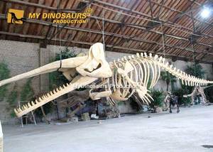 Il mio Dino parco acquatico a grandezza naturale dello scheletro di capodoglio animale in vendita - Product Image 5