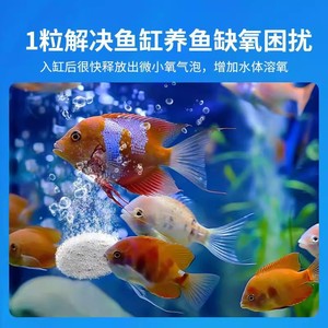 Comprimés libérant de l'oxygène à action prolongée pour la régulation de la qualité de l'eau des bassins piscicoles en aquaculture - Product Image 5