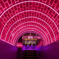 Bande de lumière LED flexible étanche personnalisée prix de la lumière au néon RVB LED Flex Ip68 bande de LED publicité extérieure