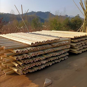 Yuzhu Carbonized Bamboo Poles White Insect Proof Anti Corrosion For Ceiling Outdoor Use - Product Image 1