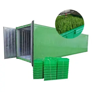 Lúa mạch LUCERNE lúa mạch đen thức ăn gia súc phát triển hệ thống thức ăn gia súc cỏ container trang trại hydroponics