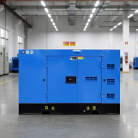 Generador Diésel Silencioso Trifásico de 50kw 100kw a Precio de Fábrica, Generador de 25kva 20kw 24kw 30kw con Motor Cummins