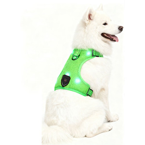 Arnés para mascotas con luz LED recargable, malla verde, con carga USB para paseos nocturnos - Product Image 2