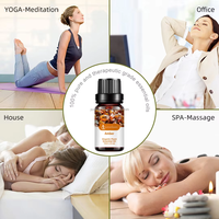 10ml Reines Natürliches Bernstein-Ätherisches Öl 100% Organischer Pflanzenextrakt Therapeutische Qualität für Aroma-Diffusor Großhandel Hersteller