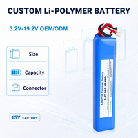Paket Baterai Isi Ulang LiFePO4 6.4V 6000mAh 2S 38.4Wh Kapasitas Tinggi untuk Lampu Keamanan Tenaga Surya & Cadangan Darurat