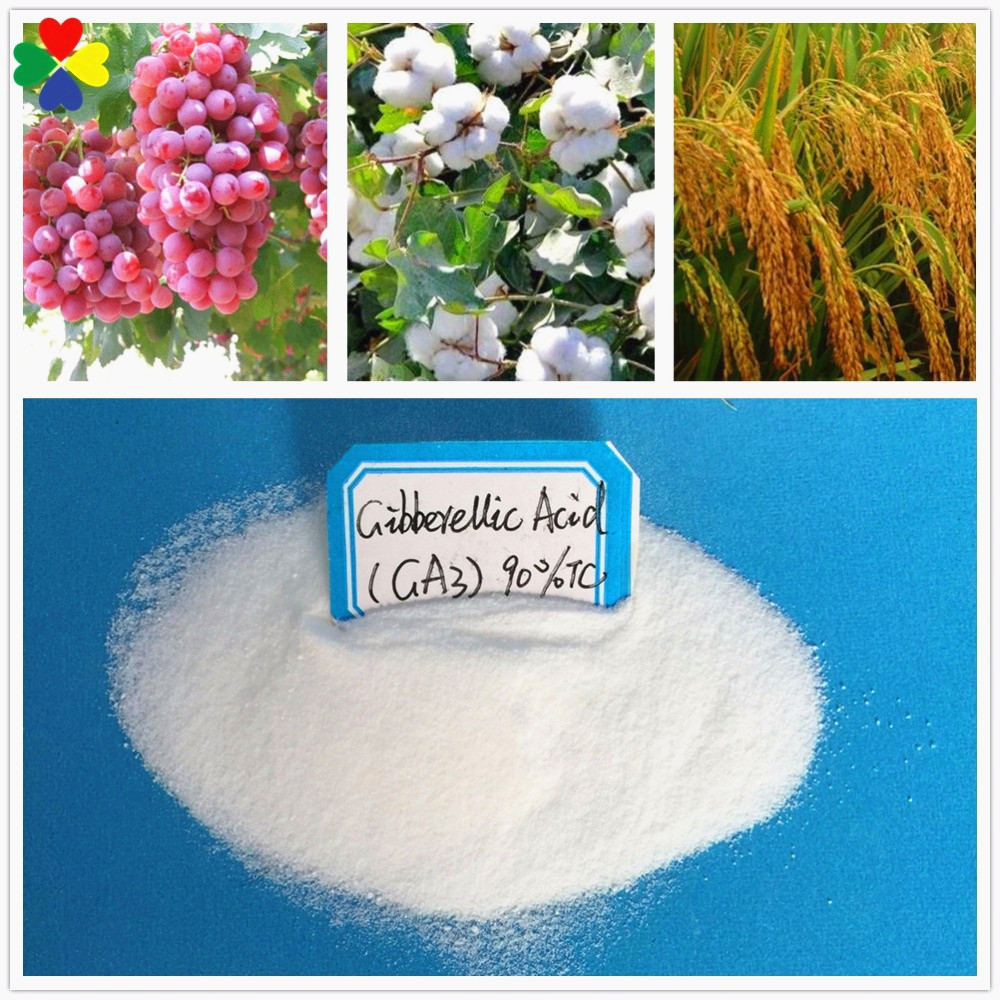 Удобрение Foilar, гибберелловая кислота A3 GA3 90% TC