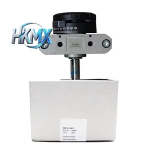 DSR-32-180-P ชิ้นส่วนทดแทนระบบอัตโนมัติแบบกระบอกลมชนิดใบพัดหมุนสำหรับอุตสาหกรรม - Product Image 1