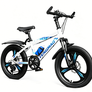 Vélo de montagne de haute qualité avec roues en magnésium à 3 rayons de 24 pouces, suspension avant, frein à disque, 21 vitesses, cadre entièrement amorti, confort optimal - Product Image 1