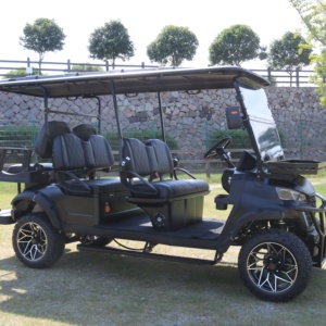 Chariot de golf électrique 48v de haute qualité 6 places pour les déplacements en plein air - Product Image 1