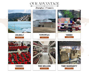 Оптовая продажа от Zhonghui: Натуральная консервированная роза, подарок на Рождество и День Благодарения, вечный цветок, 99 роз в подарочной коробке - Product Image 6