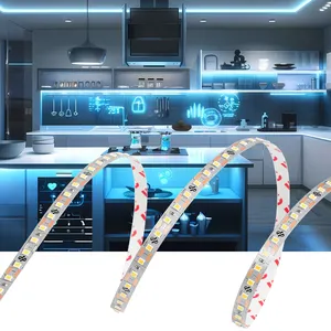 High Quality 1 Light 1 Cut 24v Low Voltage Light Strip 2700k/3000k/3500k/4000k/5000k/6000k 95Ra SMD2835 Led Strip Light