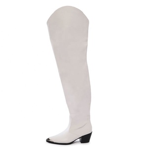 Bottes longues pour femmes, style western, en PU, à talon de 8 cm, bout pointu en métal, hauteur au-dessus du genou, avec empeigne en V, styles personnalisés, pour l'hiver - Product Image 3