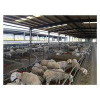 Fournisseur chinois Hangars préfabriqués pour chèvres à structure en acier Conception d'élevage de moutons de ferme Hangars pour chèvres de ferme