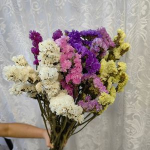 Bouquet <span class=keywords><strong>de</strong></span> fleurs séchées « Oublie-moi-pas » Fleurs séchées naturelles <span class=keywords><strong>Herbe</strong></span> <span class=keywords><strong>de</strong></span> la <span class=keywords><strong>pampa</strong></span> Fleurs réelles Décoration <span class=keywords><strong>de</strong></span> la maison Accessoires <span class=keywords><strong>de</strong></span> photographie Vente en gros - Product Image 1