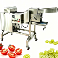 Automatische machine voor het splitsen van fruit en groenten van roestvrij staal 304, geschikt voor tomaten, citroenen, druiven etc.