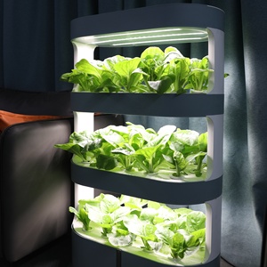 ขายส่งชั้นวางไฮโดรโปนิกส์ในร่ม ขายส่งระบบ<span class=keywords><strong>ปลูก</strong></span>แนวตั้ง การปลูกผักใน<span class=keywords><strong>บ้าน</strong></span> - Product Image 3