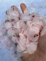 Couronnes décoratives de pétales de rose et d'hortensia préservés avec source de lumière LED pour décorations de mariage