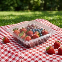 Boîte alimentaire rectangulaire transparente en PET avec couvercle à clipser, emballage pour fruits, gâteaux, salades, desserts, pizzas
