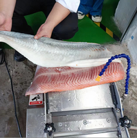 Machine automatique à peler la peau de poisson en acier inoxydable 304, éplucheuse commerciale de peau de poisson pour saumon, tilapia, calmar