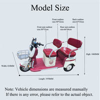 Tricycle Électrique de Luxe Personnalisé 60V 12 Pouces 3 Places, Véhicule Passager à Trois Roues, Pédicab 60V 1000W, Scooter de Mobilité Ouvert