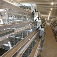Système d'élevage automatique pour poules pondeuses en batterie, type A, pour la production d'œufs en ferme avicole