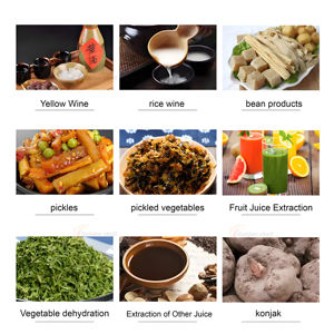 Prensa en frío hidráulica de grado alimenticio Maquina Para Suco a Frio para sistema de alto rendimiento de jugo de uva y manzana de granada - Product Image 6