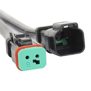 Kustom Deutsch 2 Pin kawat listrik otomatis konektor tahan air wanita pria kawat Harness perakitan - Product Image 4