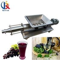 Pompe à vis en acier inoxydable avec trémie pour ligne de production de jus de fruits et légumes, pulpes de fruits / confitures