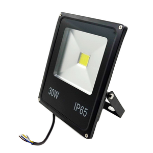 30W LED Floodlight with Warm White CCT IP67 Aluminum Black Housing Outdoors AC Power Source SMD Chip Garden Use - Product Image 1