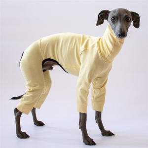 Qiqu fournitures pour animaux de compagnie personnalisé nouveau concepteur italien <span class=keywords><strong>lévrier</strong></span> combinaison ensemble chemise coton pour grands chiens Doberman tenues <span class=keywords><strong>galgo</strong></span> iggy - Product Image 4
