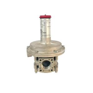 Regolatore di Pressione del <span class=keywords><strong>Gas</strong></span> Regolabile (Regolatore di Pressione <span class=keywords><strong>Gas</strong></span> Naturale) - Product Image 6