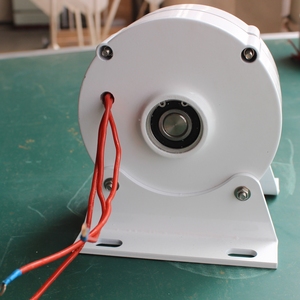 เครื่องกำเนิดไฟฟ้ากระแสสลับแม่เหล็กแบบไม่มีเกียร์ 3 เฟส ขายดี 100W 12/24V สำหรับกังหันลม และเครื่องกำเนิดไฟฟ้าแม่เหล็กอื่นๆ 100w - Product Image 4