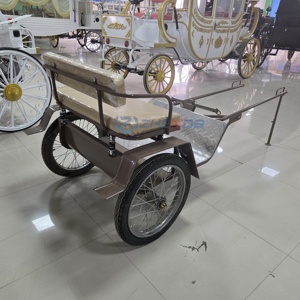 Vente directe usine : Chariot de marathon pour poney populaire, modèle course à deux roues, nouvelle version en promotion - Product Image 4