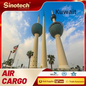 Ddp Freight Forwarder envío a Kuwait Arabia Saudita India EE. UU. Pakistán Sudáfrica Irak Emiratos Árabes Unidos Dubai Egipto Agente de envío - Product Image 6